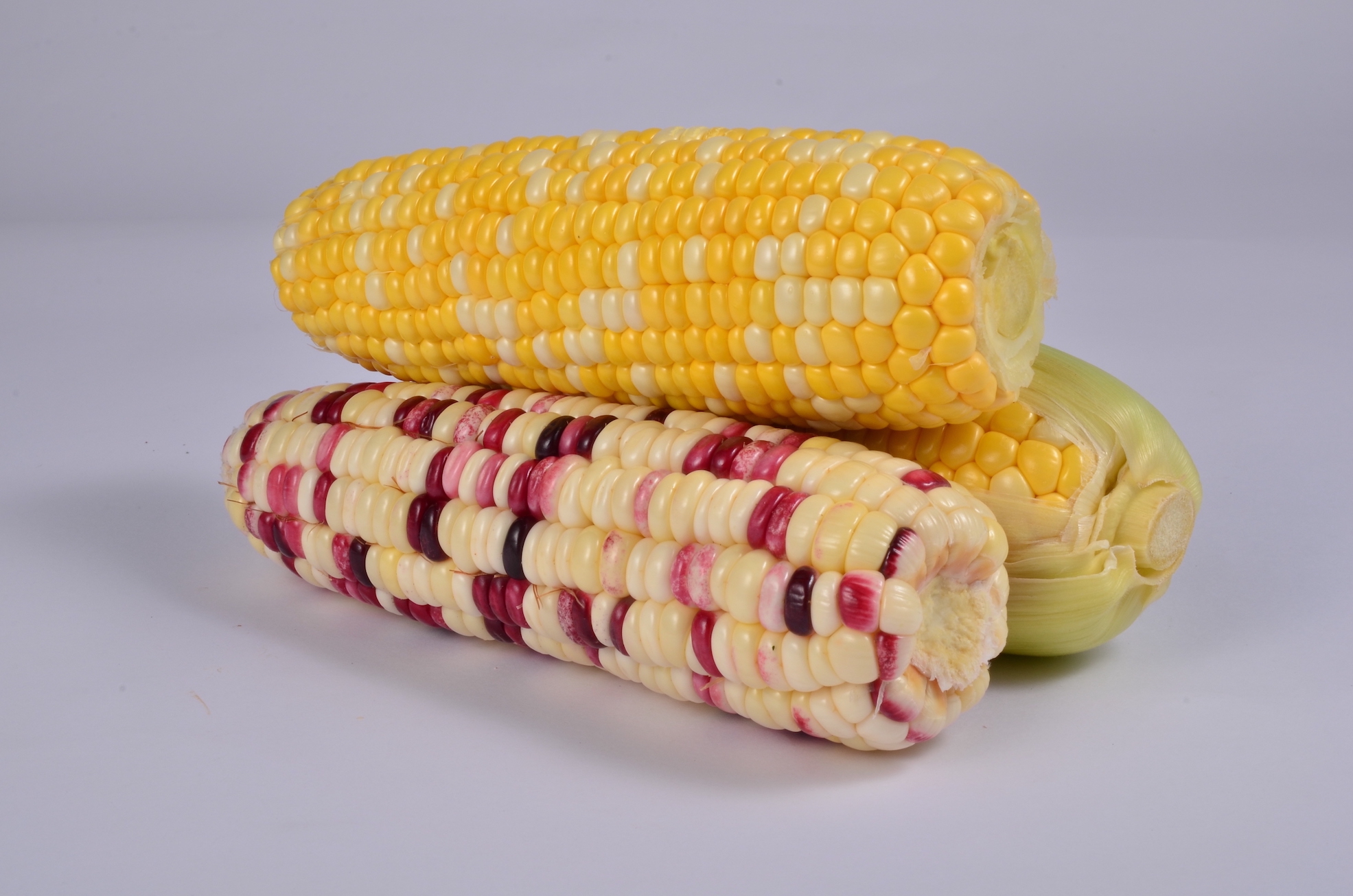 Corn