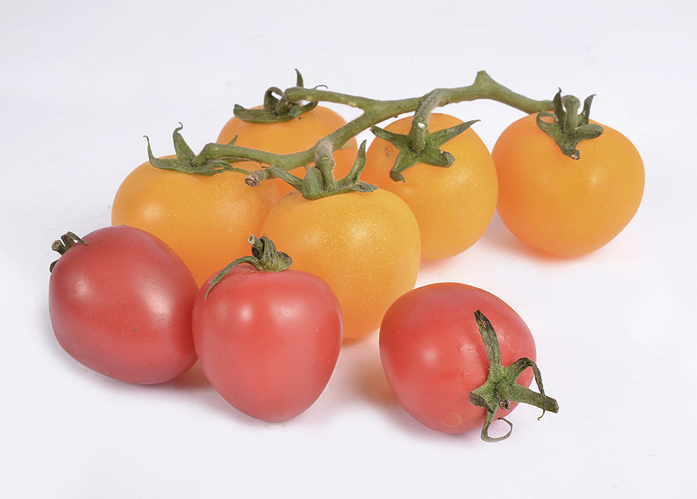 Cherry tomato